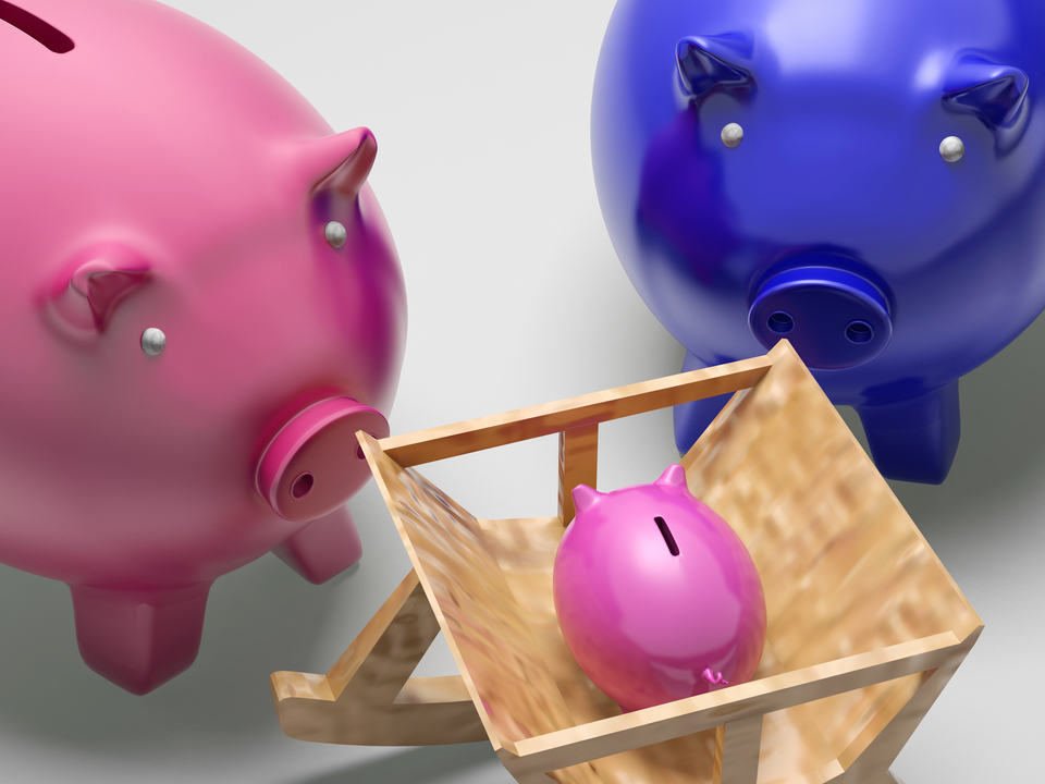 Piggy Family Shows Planning Protection And Savings