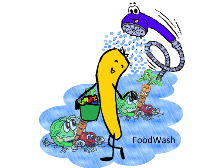 FoodWash