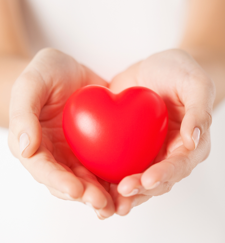 female hands with small red heart